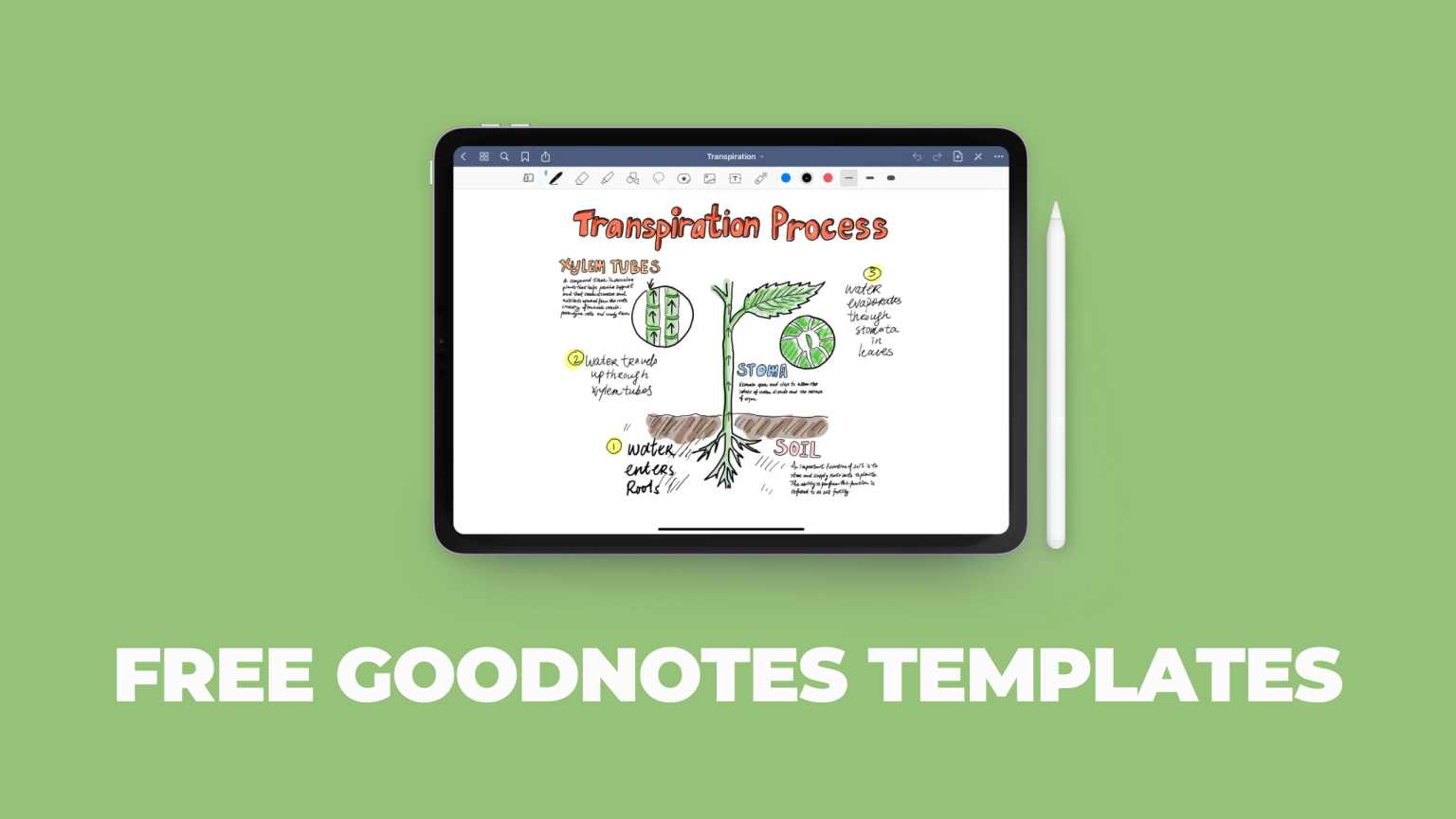how to get free goodnotes templates